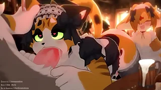 Calico cat gives out a bj round customer
